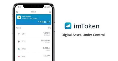 2020imtoken钱包空投,财富机遇与数字货币新篇章