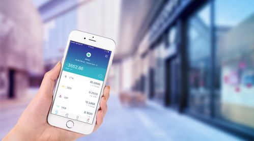 imtoken柴犬币,解锁加密货币新篇章