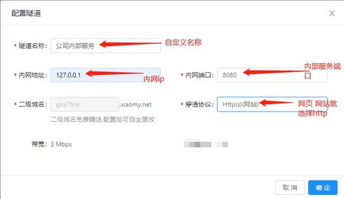 skype服务器公网地址,网络通信的枢纽揭秘