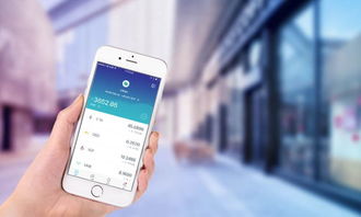 imtoken没有btc钱包,探索数字货币新选择
