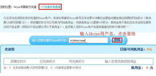 skype点数包月,Skype点数包月轻松解锁