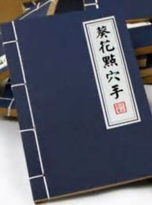 武林秘籍之江湖天涯 